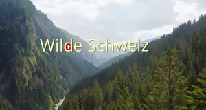 Wilde Schweiz