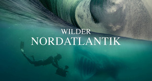 Wilder Nordatlantik