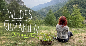 Wildes Rumänien - Via Transilvanica