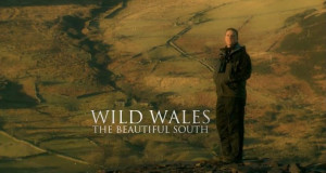 Wildes Wales