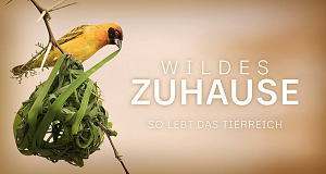 Wildes Zuhause - So lebt das Tierreich