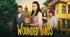 Wounded Birds