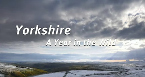 Yorkshire: Ein Jahr in der Wildnis