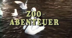 Zoo-Abenteuer