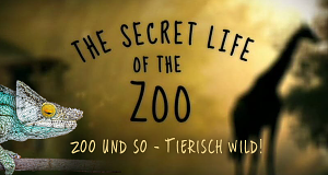 Zoo und so - Tierisch wild!