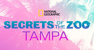 Zoogeflüster: Tampa