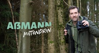 Aßmann mittendrin Aßmann mittendrin