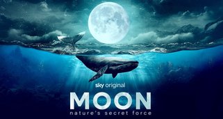 Der Mond – Geheimnisvolle Kraft der Natur