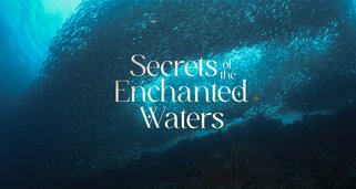 Die Geheimnisse der verwunschenen Gewässer Die Geheimnisse der verwunschenen Gewässer