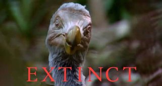 Die geheimnisvolle Welt der Urzeittiere