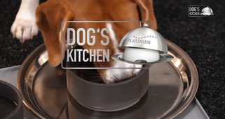 Dog’s Kitchen Dog’s Kitchen