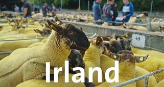 Irland Irland