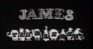 James’ Tierleben