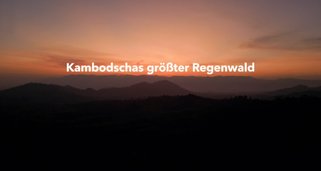 Kambodschas größter Regenwald