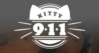 Kitty 911 – Mission Katzenrettung