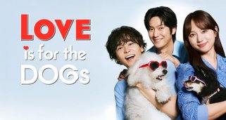 Love is for the Dogs