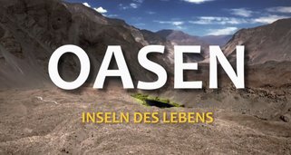 Oasen: Inseln des Lebens