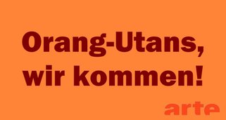 Orang-Utans, wir kommen!