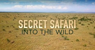 Secret Safari: Into the Wild