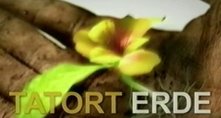 Tatort Erde