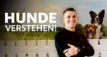 Hunde verstehen!