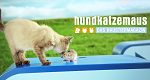 hundkatzemaus