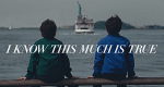 I Know This Much Is True (USA, 2020 – )