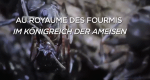Im Königreich der Ameisen (ROK, 2019 – )