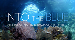 Into the Blue - Indonesiens Unterwasserparadiese