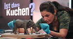 Ist das Kuchen?