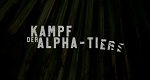 Kampf der Alpha-Tiere