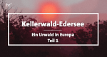 Kellerwald-Edersee - Ein Urwald in Europa (D, 2025 – )