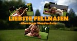 Liebste Fellnasen