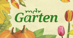 MDR Garten