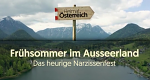 Narzissenfest