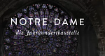 Notre-Dame, die Jahrhundertbaustelle