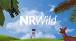 NRWild