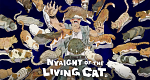 Nyaight of the Living Cat (J, 2025 – )
