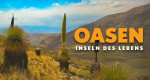 Oasen: Inseln des Lebens