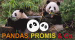 Pandas, Promis & Co.