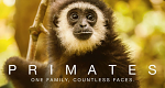 Primaten (GB, 2020 – )