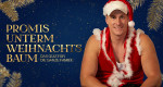 Promis unterm Weihnachtsbaum – Das Quiz für die ganze Familie (D, 2025 – )