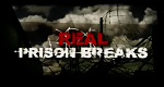 Real Prison Breaks