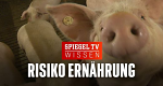 Risiko Ernährung (D, 2014 – )