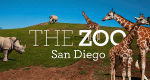 San Diego Zoo (USA, 2019 – )