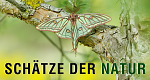 Schätze der Natur (E, 2021 – )