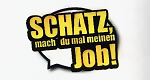 Schatz, mach du mal meinen Job! (D, 2004 – )