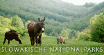 Slowakische Nationalparks (D, 2019 – )