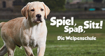 Spiel, Spaß, Sitz! - Die Welpenschule (GB, 2019 – )