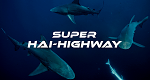 Super Hai-Highway